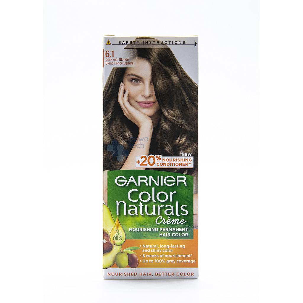 Garnier Hair Colour Tube 6.1