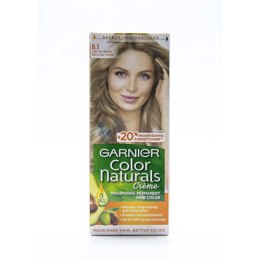 PO06941: GARNIER 8.1
